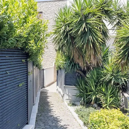 Terrace Daire Roma